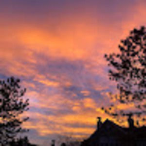 Meet your Posher, Loni